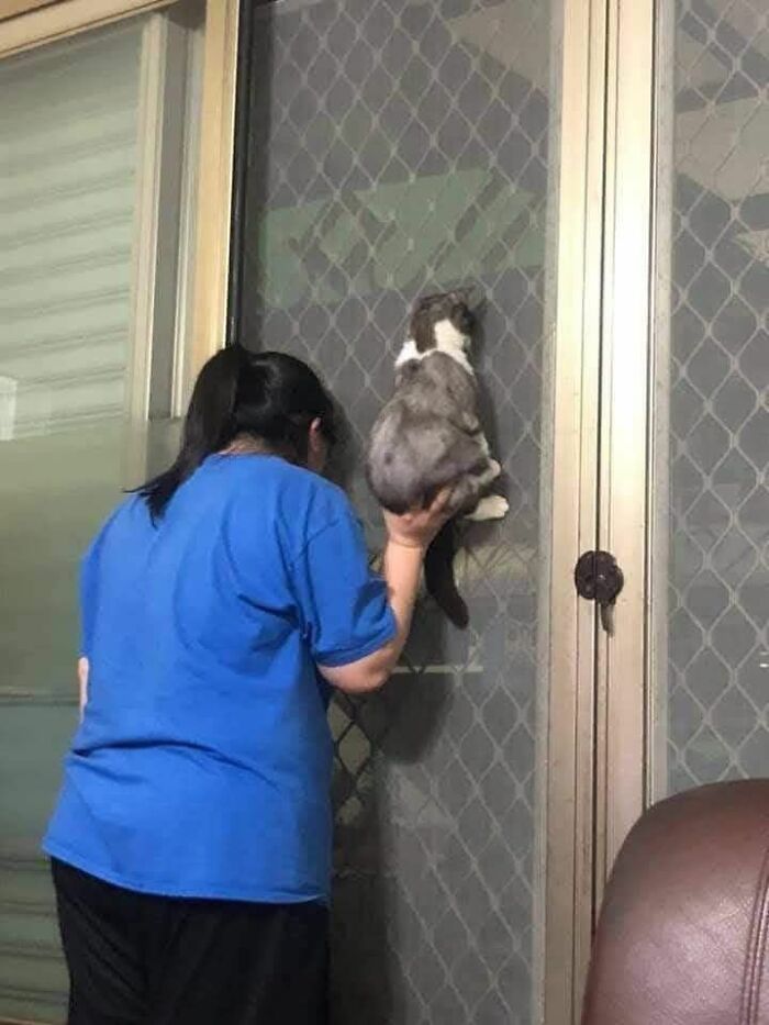 These 113 Adorable Animal Pics Are Basically Happiness in Photo Form