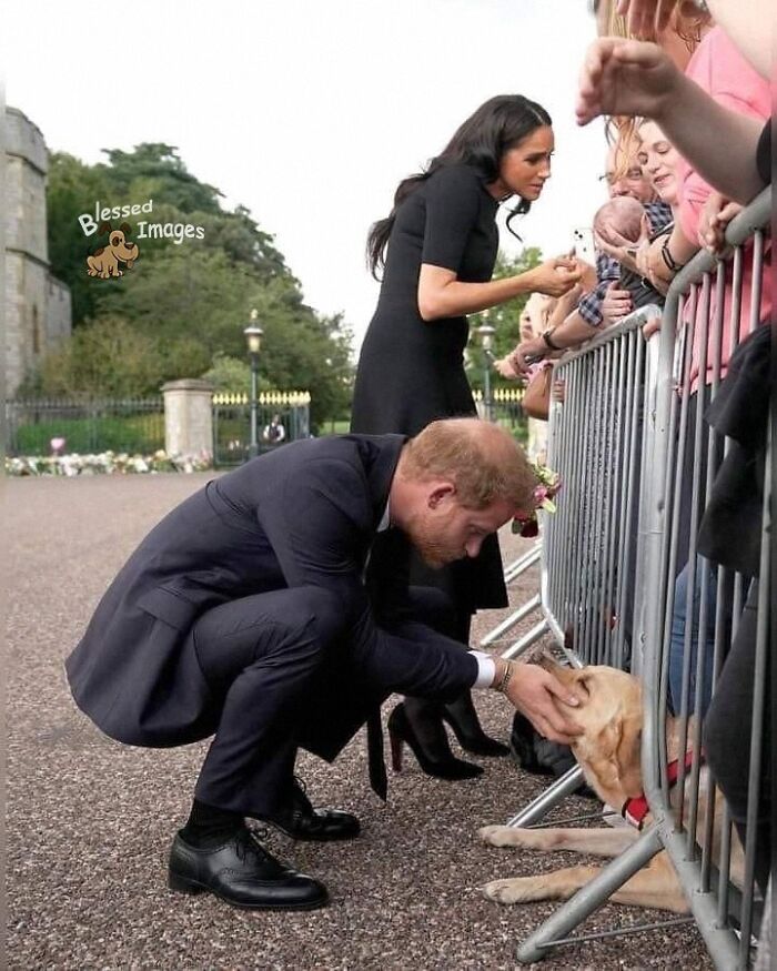 These 113 Adorable Animal Pics Are Basically Happiness in Photo Form