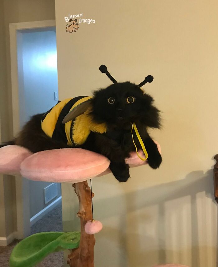 These 113 Adorable Animal Pics Are Basically Happiness in Photo Form