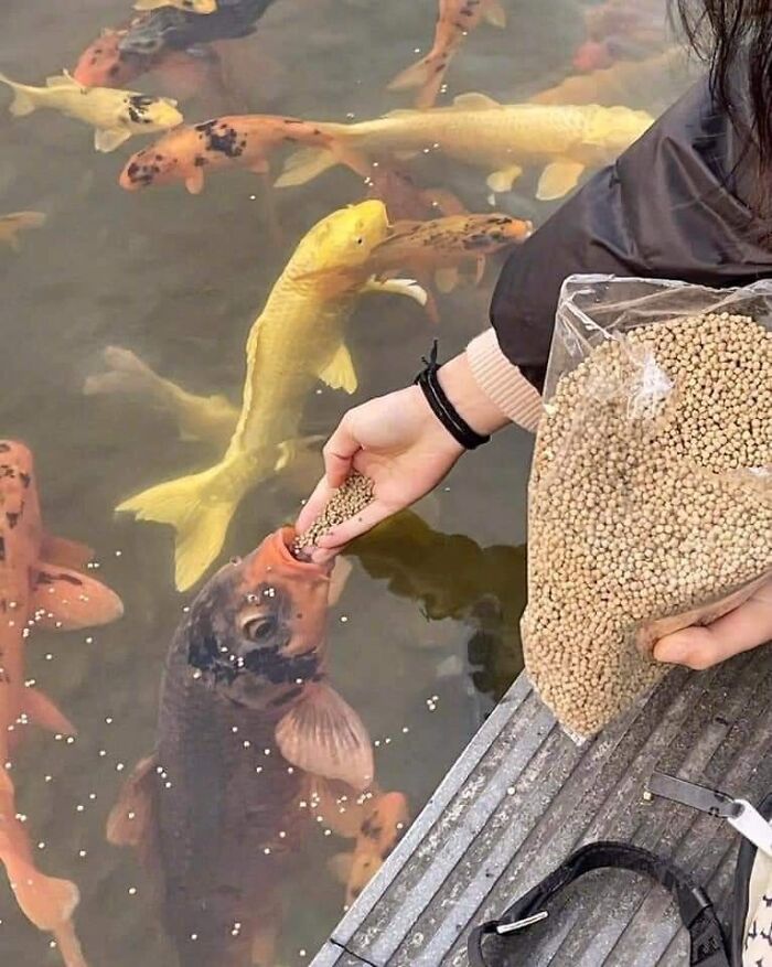 These 113 Adorable Animal Pics Are Basically Happiness in Photo Form