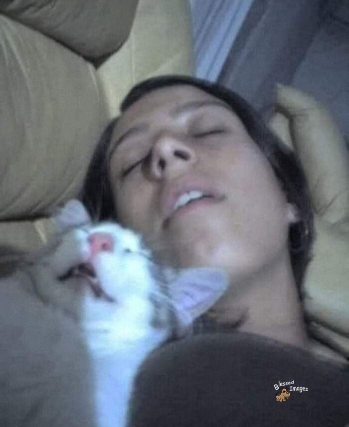 These 113 Adorable Animal Pics Are Basically Happiness in Photo Form