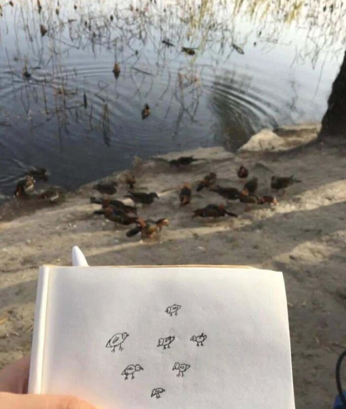 These 113 Adorable Animal Pics Are Basically Happiness in Photo Form