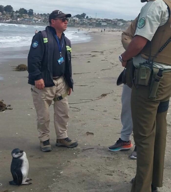 These 113 Adorable Animal Pics Are Basically Happiness in Photo Form