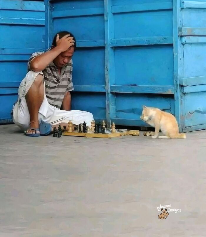 These 113 Adorable Animal Pics Are Basically Happiness in Photo Form