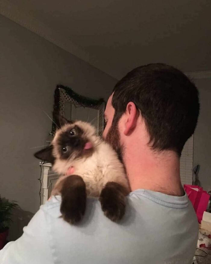 These 113 Adorable Animal Pics Are Basically Happiness in Photo Form