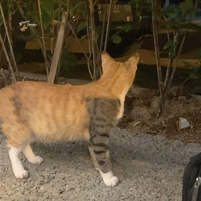 These 113 Adorable Animal Pics Are Basically Happiness in Photo Form