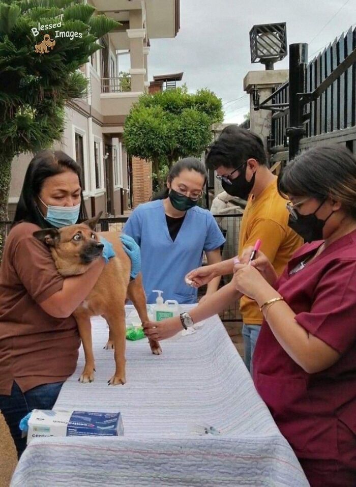 These 113 Adorable Animal Pics Are Basically Happiness in Photo Form