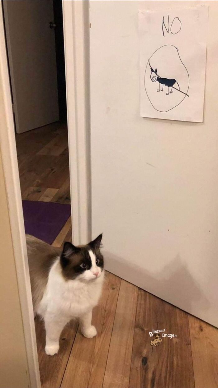 These 113 Adorable Animal Pics Are Basically Happiness in Photo Form