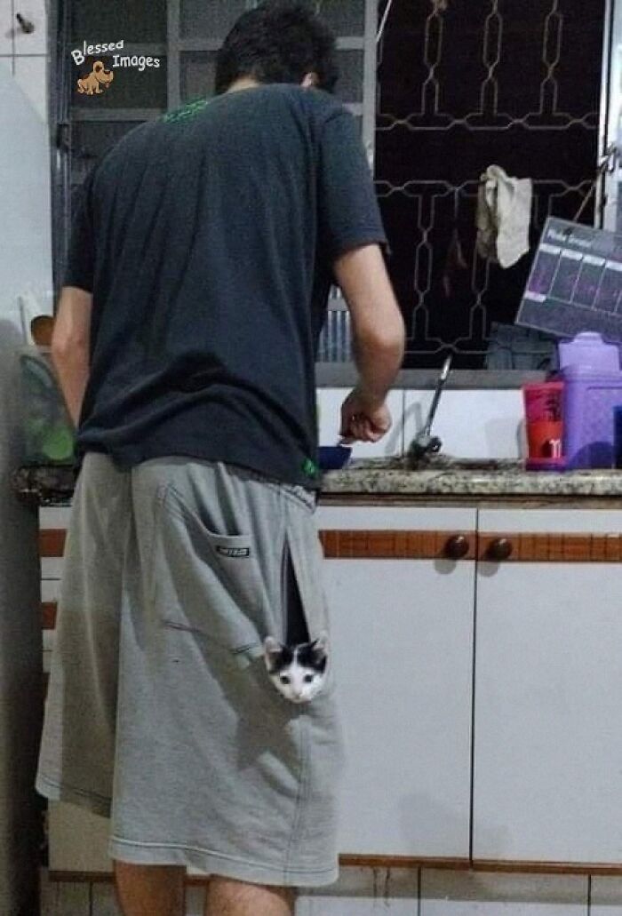 These 113 Adorable Animal Pics Are Basically Happiness in Photo Form