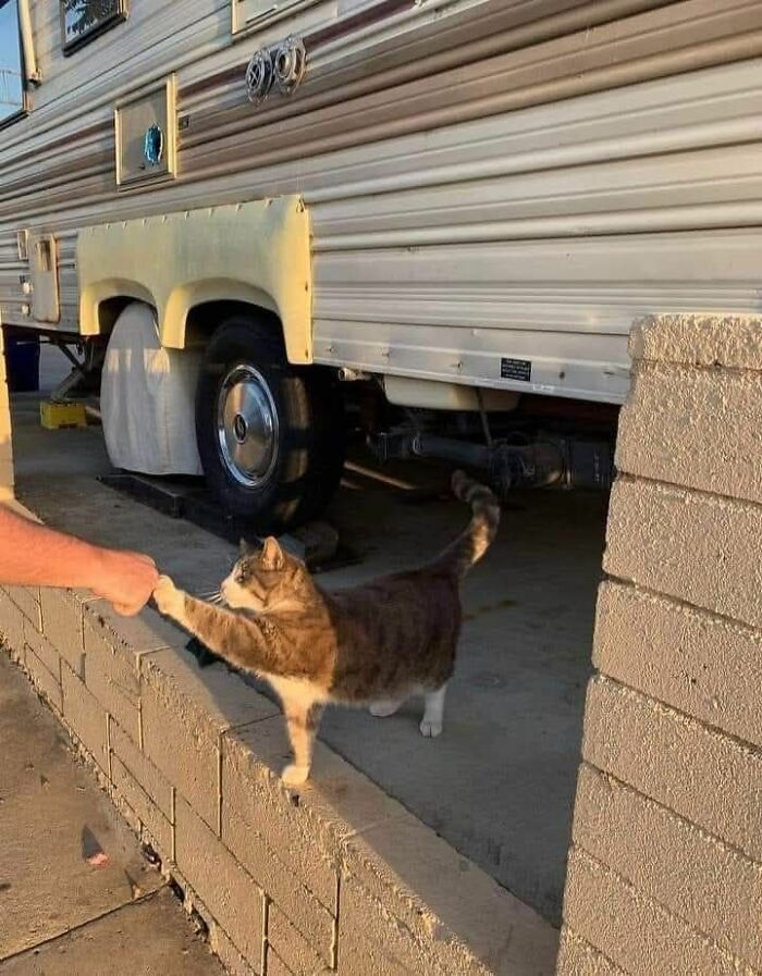 These 113 Adorable Animal Pics Are Basically Happiness in Photo Form