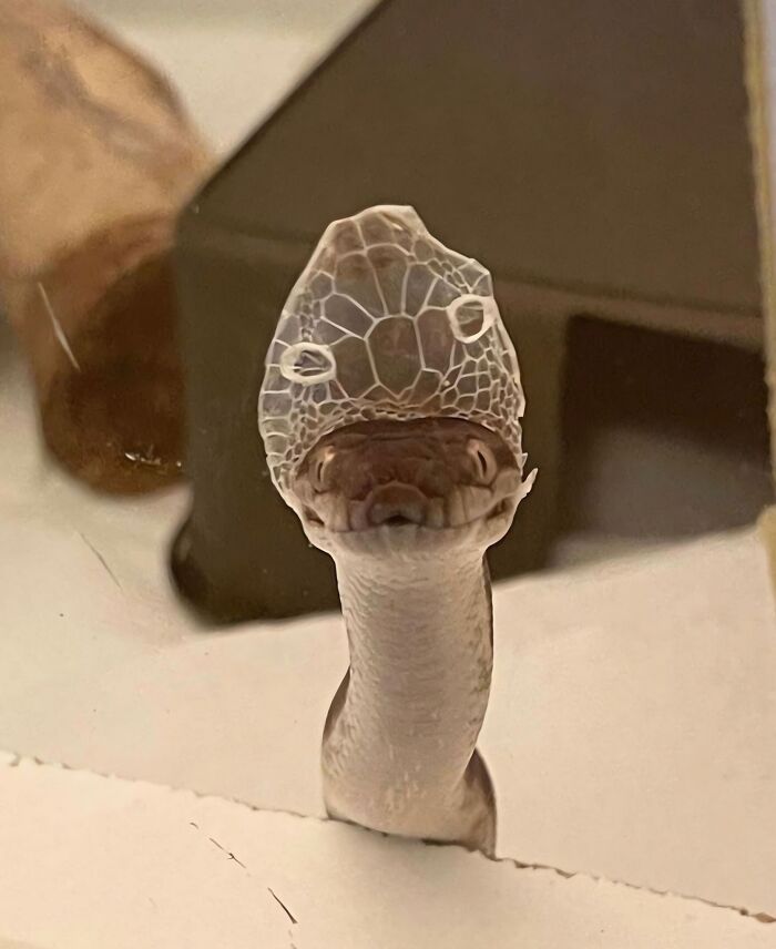 These 113 Adorable Animal Pics Are Basically Happiness in Photo Form