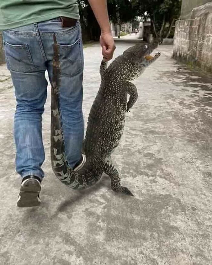 These 113 Adorable Animal Pics Are Basically Happiness in Photo Form