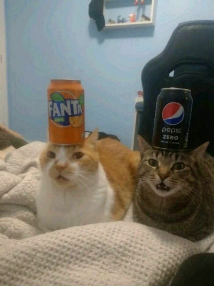 These 113 Adorable Animal Pics Are Basically Happiness in Photo Form