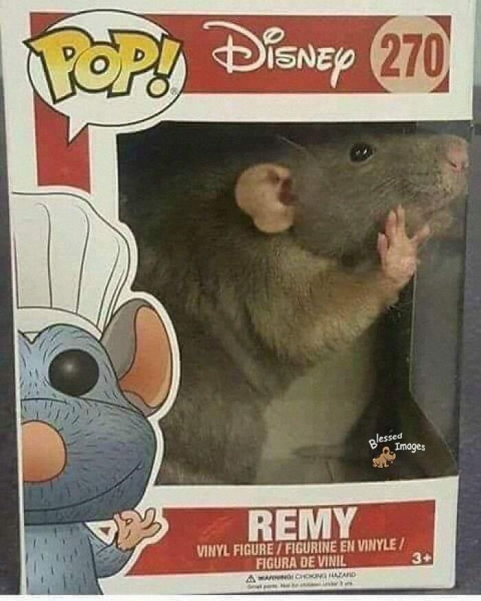 These 113 Adorable Animal Pics Are Basically Happiness in Photo Form