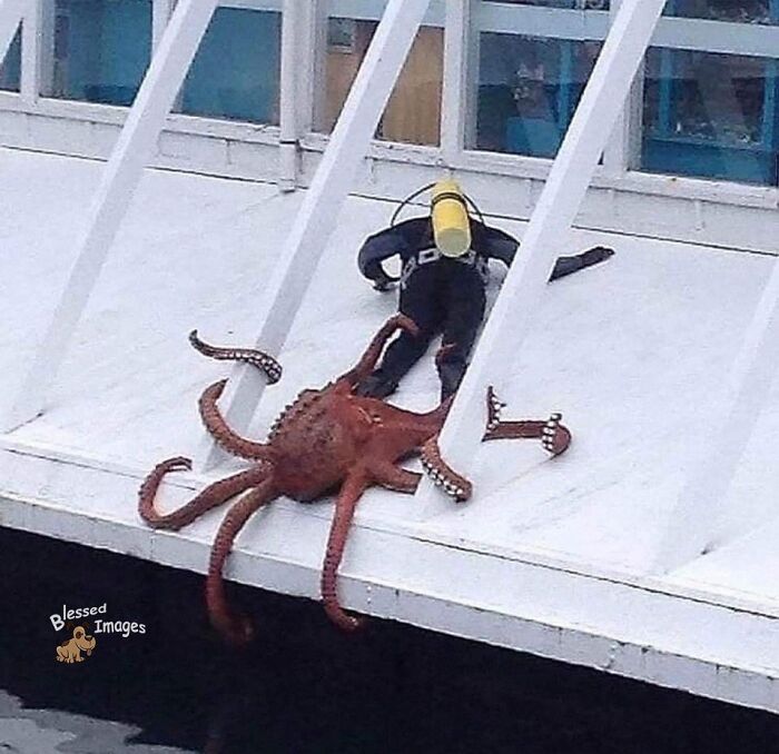 These 113 Adorable Animal Pics Are Basically Happiness in Photo Form