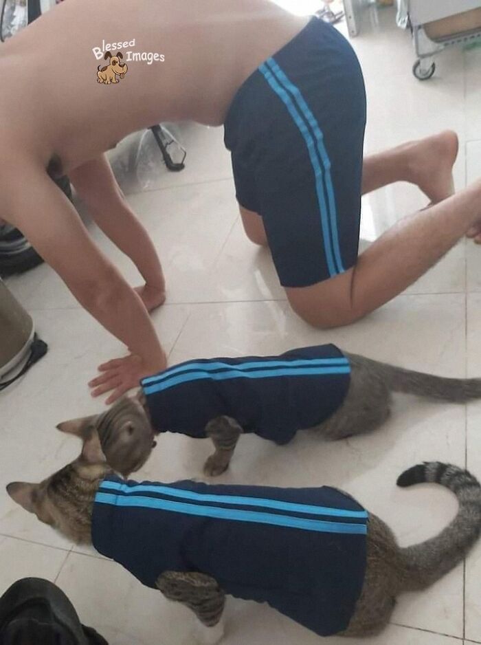 These 113 Adorable Animal Pics Are Basically Happiness in Photo Form