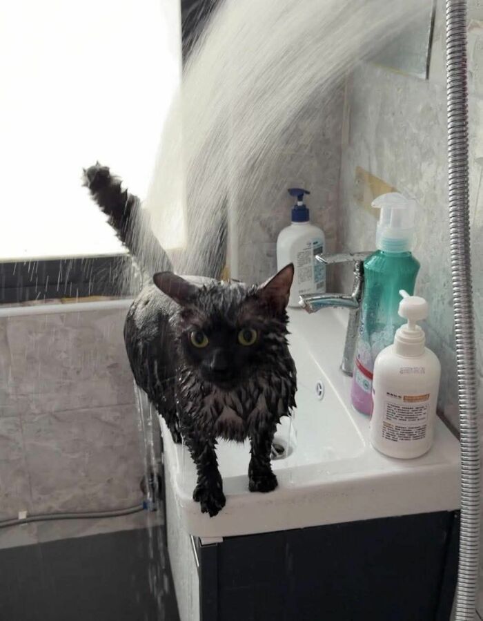 These 113 Adorable Animal Pics Are Basically Happiness in Photo Form