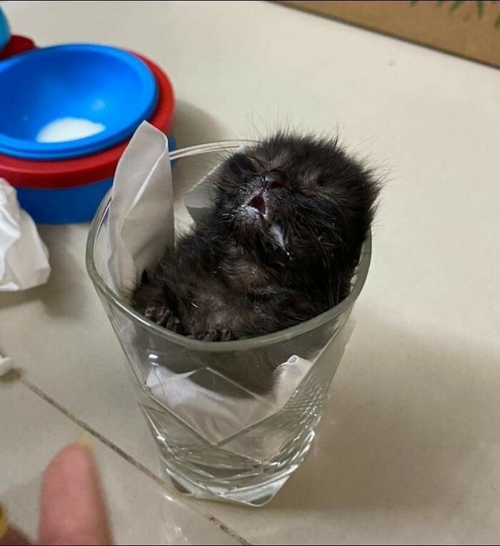 These 113 Adorable Animal Pics Are Basically Happiness in Photo Form