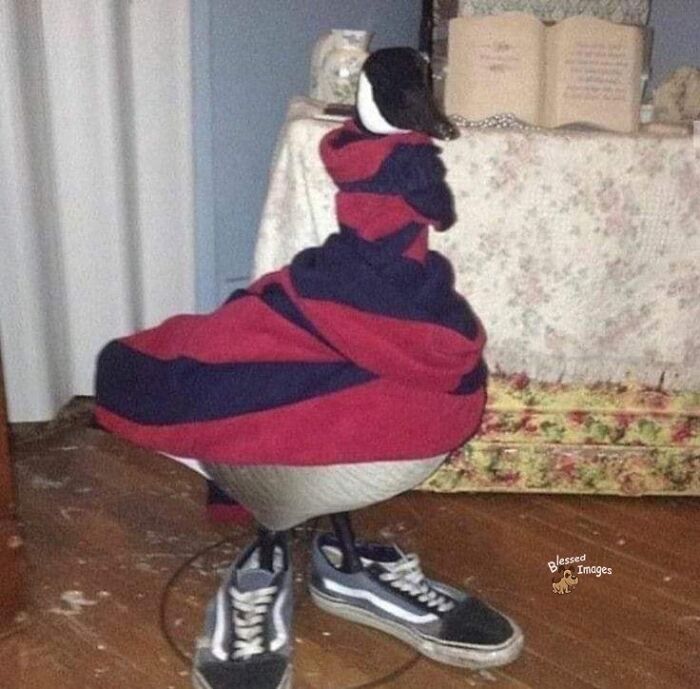 These 113 Adorable Animal Pics Are Basically Happiness in Photo Form