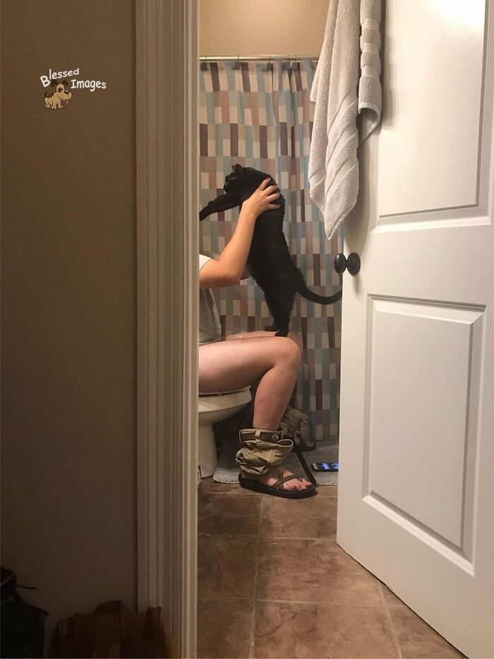 These 113 Adorable Animal Pics Are Basically Happiness in Photo Form