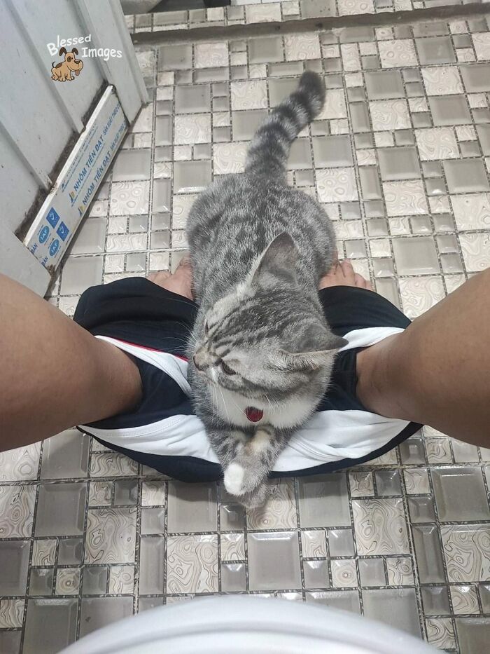 These 113 Adorable Animal Pics Are Basically Happiness in Photo Form