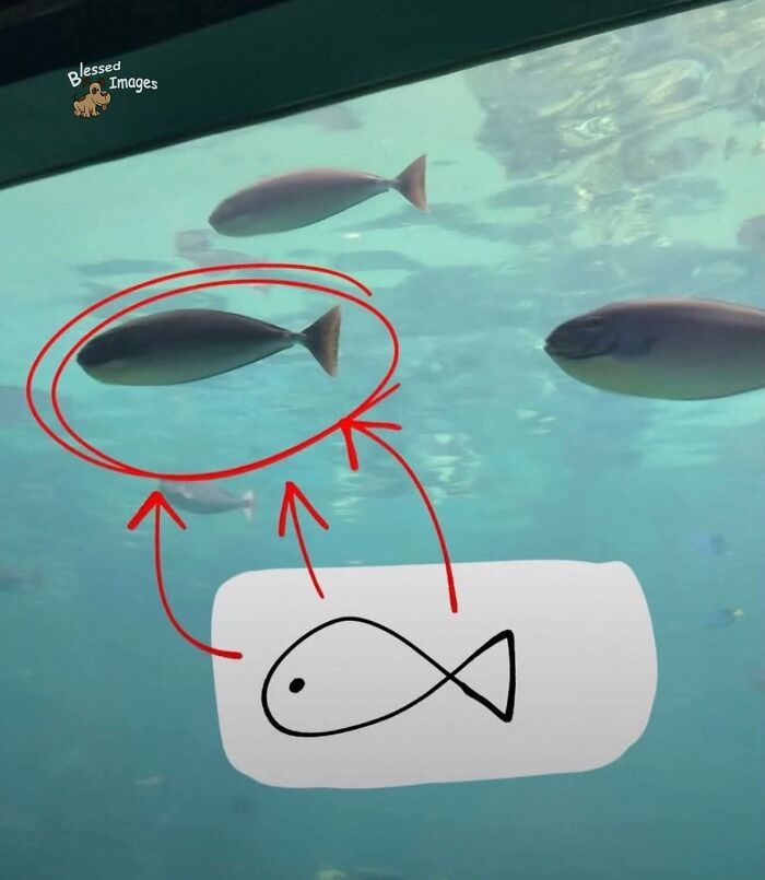 These 113 Adorable Animal Pics Are Basically Happiness in Photo Form