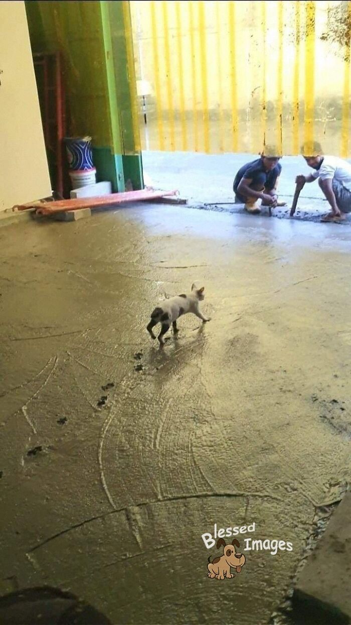 These 113 Adorable Animal Pics Are Basically Happiness in Photo Form