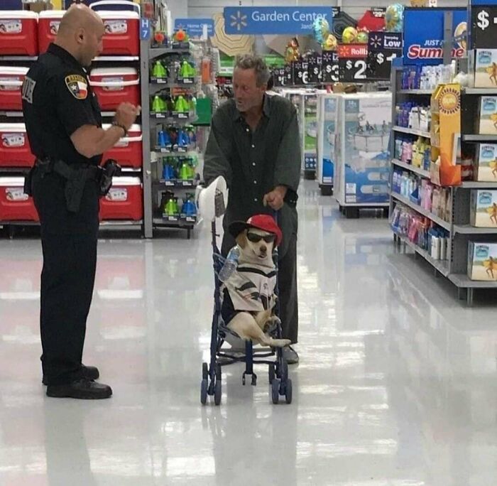 These 113 Adorable Animal Pics Are Basically Happiness in Photo Form