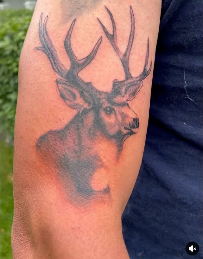 Oops! These Tattoos Did Not Go As Planned (And We Can't Stop Laughing)