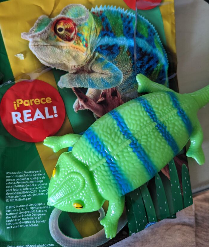 Bought a Toy That You Don't Actually See Until Unpacking. ‘‘Seems Real!’'