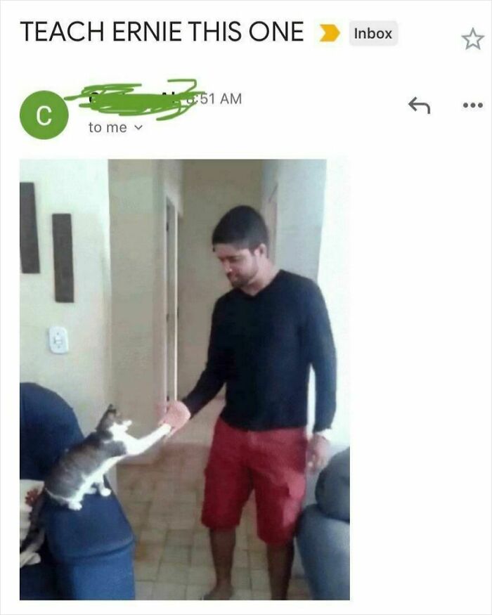 Dad Just Got a Smartphone and Emails Me Gifs Nonstop