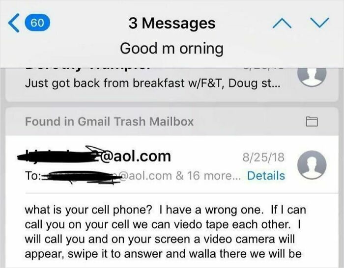Grandma and Siblings Send Daily "I'm Alive" Emails – Here’s One Explaining Video Chat