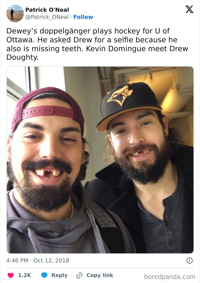 Meet Dewey and Dewier—Like Two Peas in a Pod!