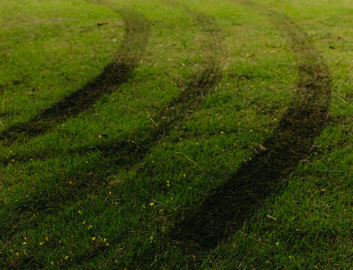 Neighbors From Hell: The Wildest, Weirdest, What-Were-They-Thinking Stories