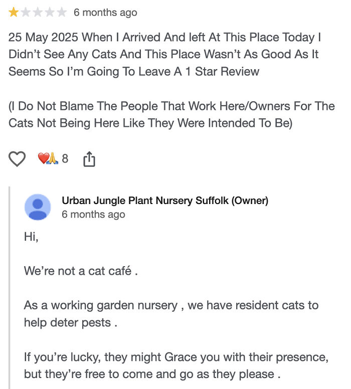 The Wildest Entitled Reviews That Will Make You Go "Wait, What?!"