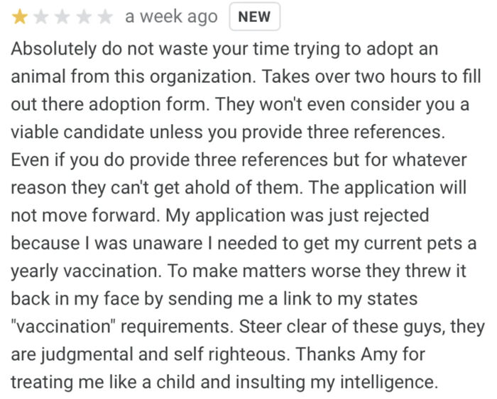 The Wildest Entitled Reviews That Will Make You Go "Wait, What?!"