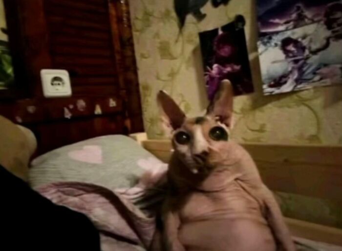 This One Seriously Broke Us Up