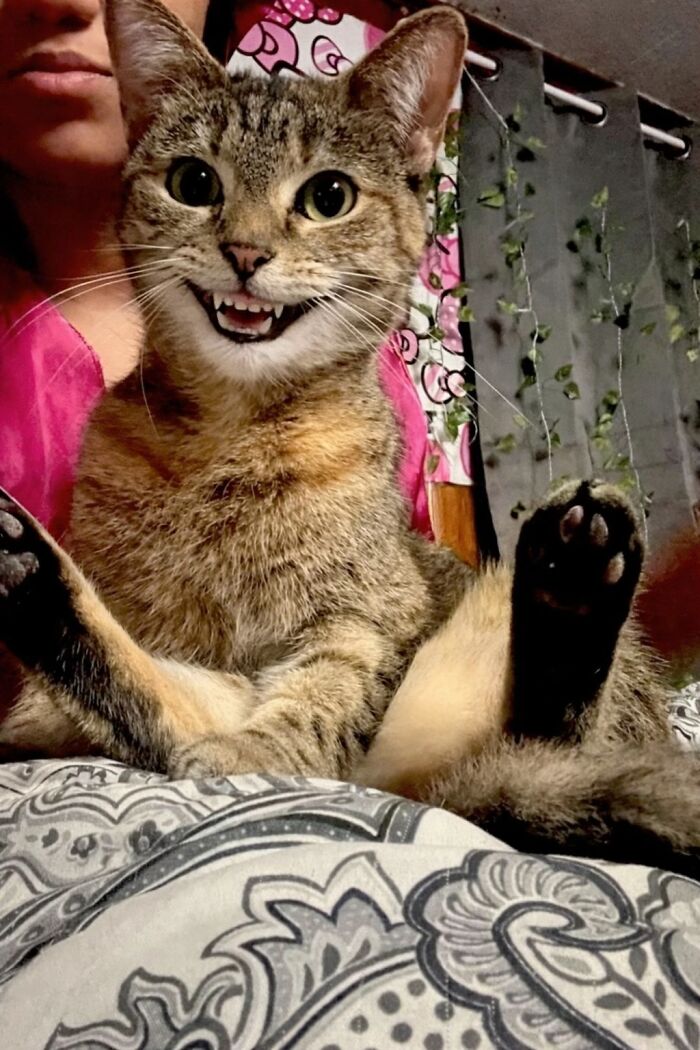 She Thought My Joke Was Funny...Or Not