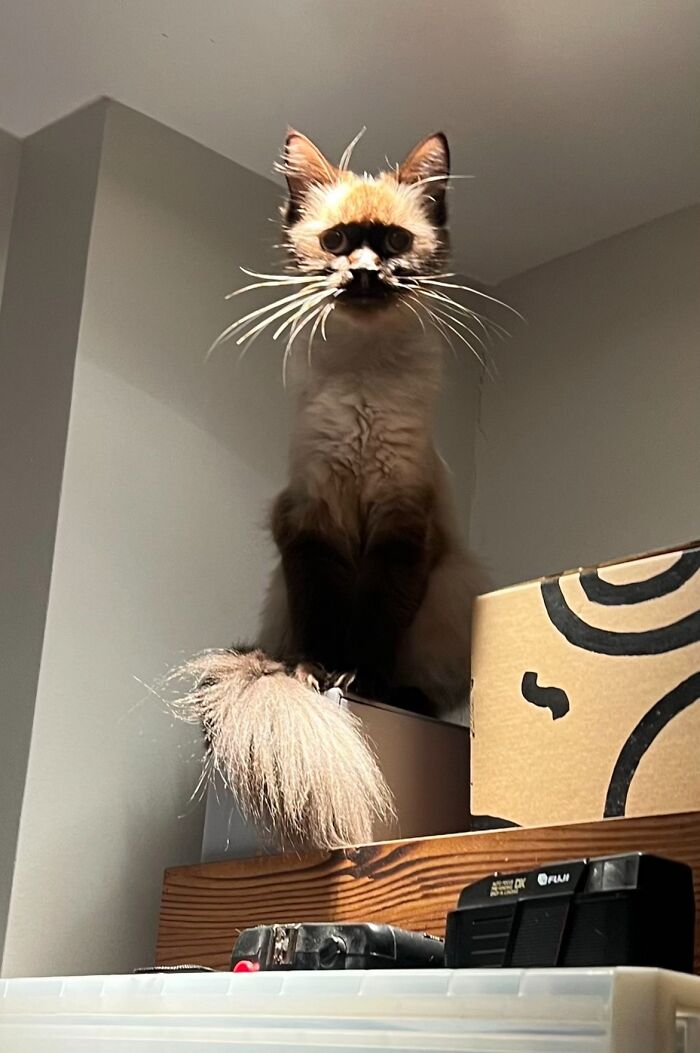 Mines Scary, And Proud Of It