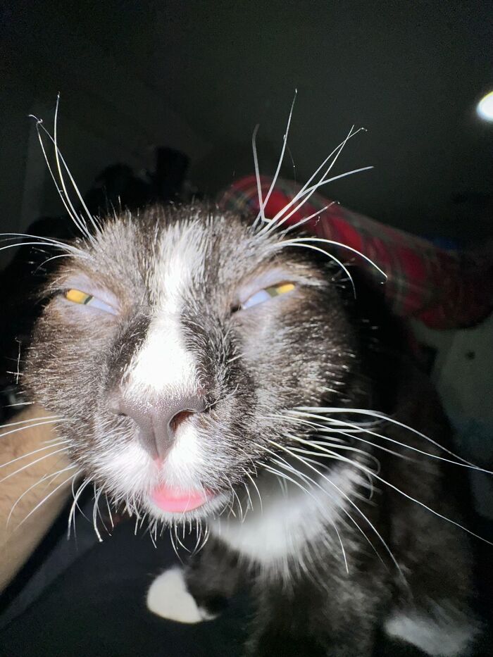 Hmm... The Expression Says It All