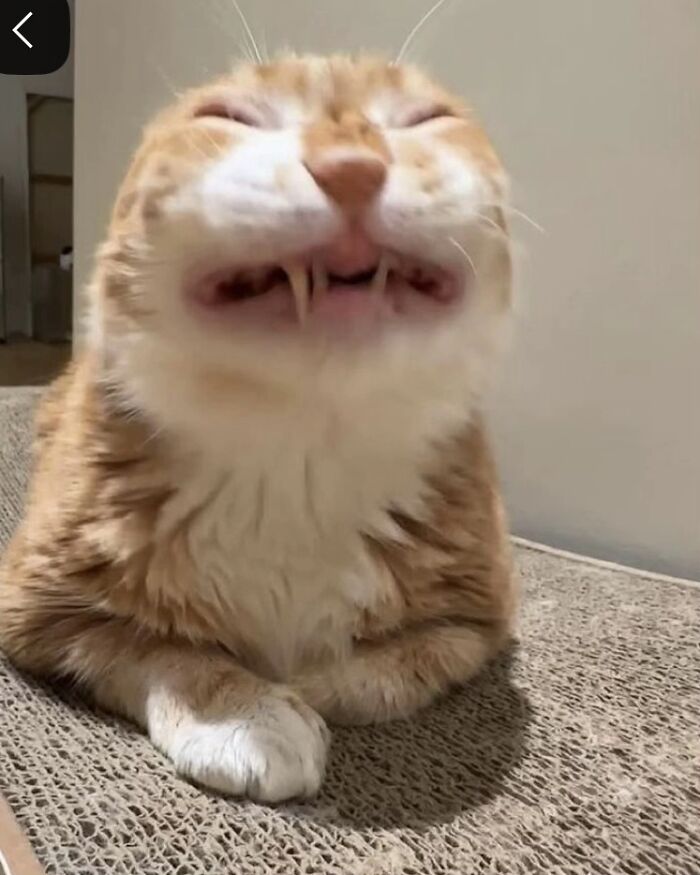 He’s Just Happy, No Matter What