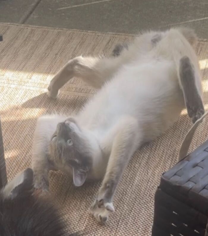 I Live In Fear Because Of This Face