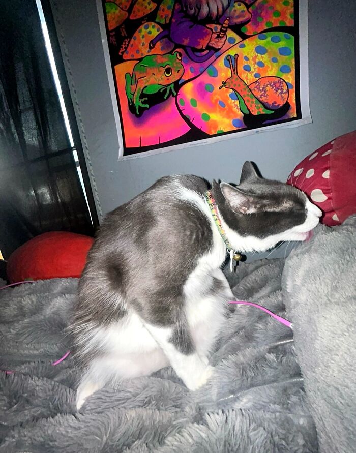 Why Does He Look So Goofy? No Idea, But We Love It