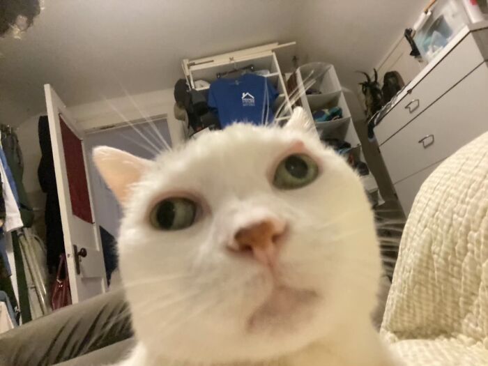 This One Definitely Gets People