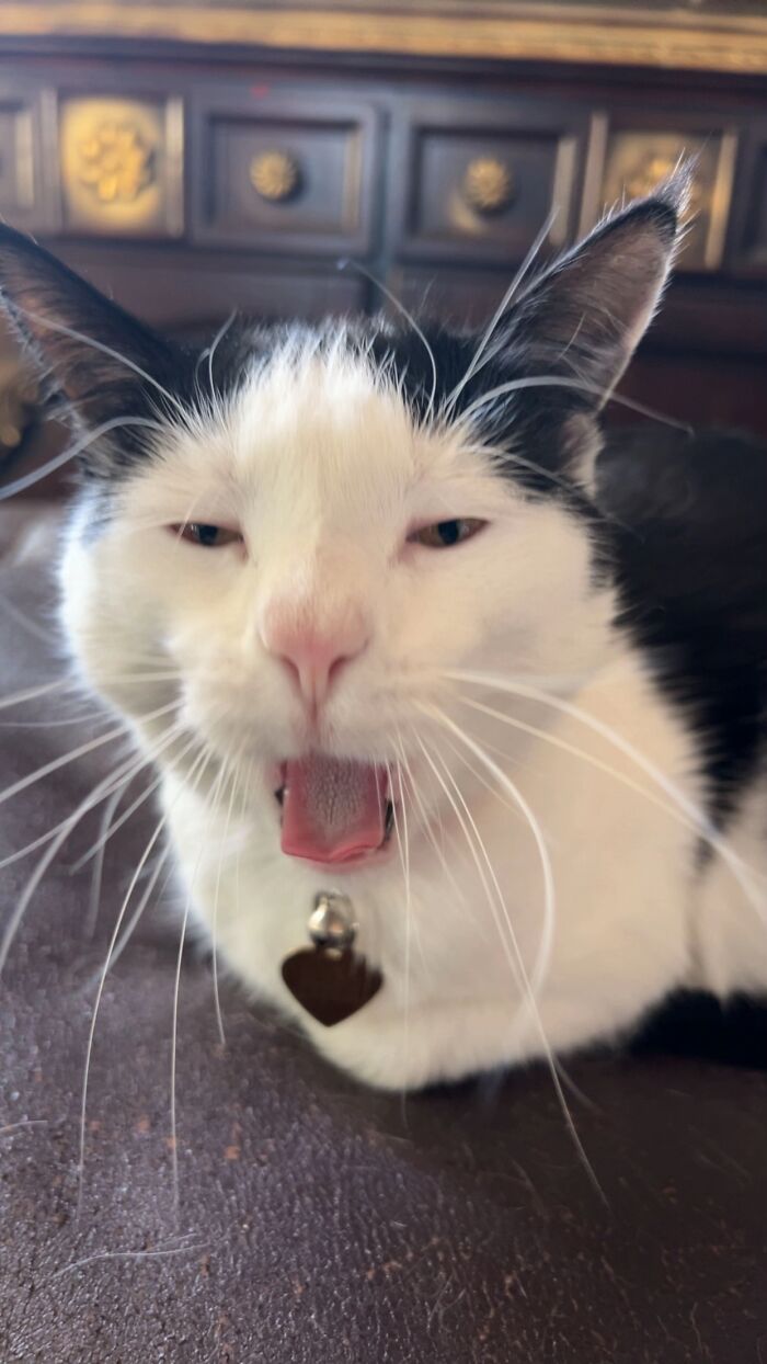 Kinda Ugly, But We’re Here For It