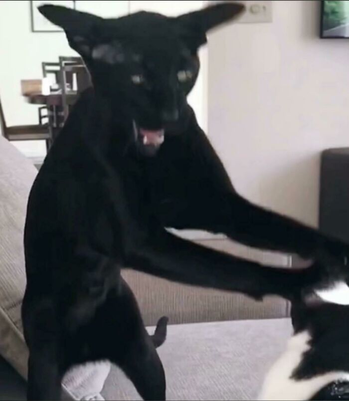 This One’s Just Kinda Nervous, Can’t Help It