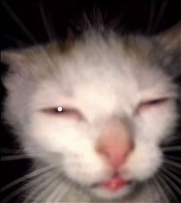 Not Mine But Just Woke Up And Already Funny