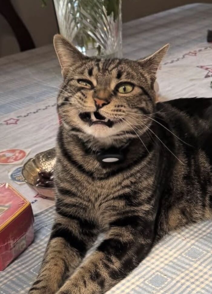 Idk Why He Did That, But We’re Glad He Did