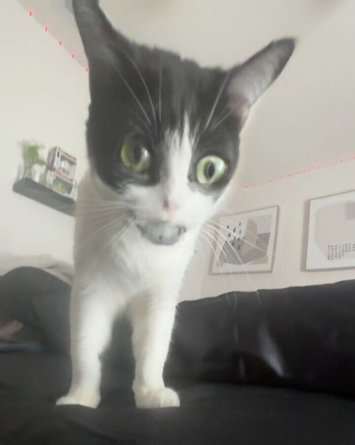 Oh Lord Jesus, What Did I Just See?