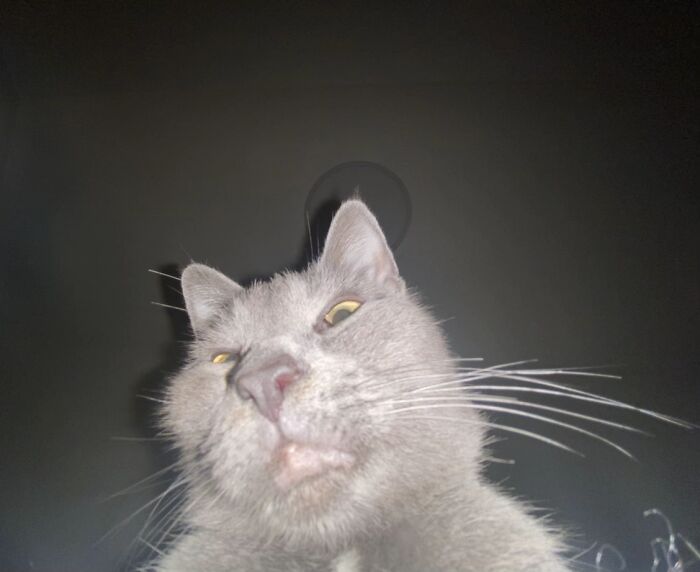 Just Took This And Made It My Screensaver